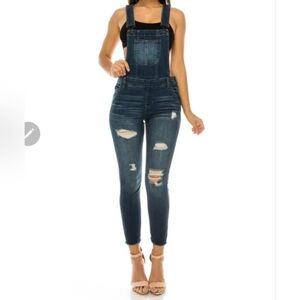 NWOT FN Distressed Skinny Overalls